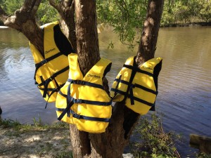 These three life jackets floated down the bayou one day like three little yellow ducklings.  I left them on this tree in case anyone wanted to claim them, but no one came calling.