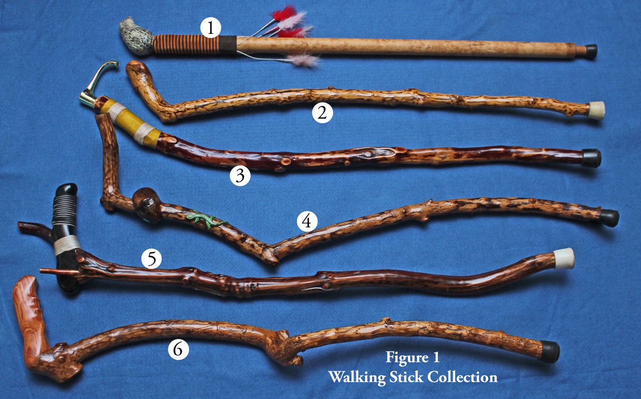 Making a Few Unique Walking Sticks