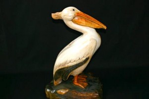 pelican