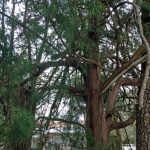 Using and Storing Epoxy – Tips from Sticks in the Mud – April 2018 – Tip #1