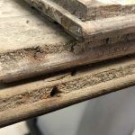 Panel Preparation – Tips from Sticks in the Mud – June 2019 – Tip #1